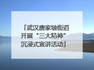 武汉唐家墩街道开展“三大精神”沉浸式宣讲活动